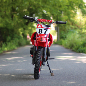 <span class=keywords><strong>Minicross</strong></span> para Niños de 2 Tiempos y 49cc, Motocicleta de Bolsillo para Dirt Bike - Product Image 5