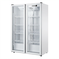 Réfrigérateur commercial pour boissons, 5 étoiles, à économie d'énergie, vertical, à température unique, avec porte vitrée, 300L, 2-8°C