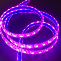 Bande lumineuse LED étanche IP67 IP68 RGB 120LED 5050 8MM 10MM 12V 24V DC