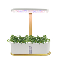 Lampes de bureau design moderne Pots pour plantes Système de culture hydroponique d'intérieur pour maison intelligente et jardin Éclairage de culture hydroponique à led