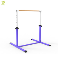 Entraînement sportif kip gym équipement de fitness gymnastique enfants barre horizontale pour la maison