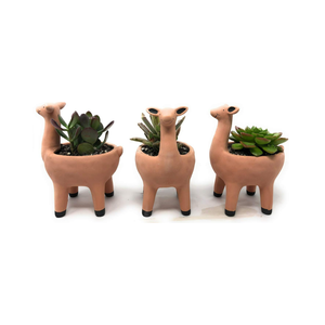 Jardinière de lama mignon en pot de couleur terre cuite pour Cactus succulent petites plantes d'intérieur jardinière extérieure de 3.25 pouces - Product Image 3