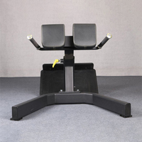 Chaise romaine professionnelle robuste pour entraînement musculaire du tronc et de la taille, banc d'hyper-extension dorsal en acier métallique thermolaqué pour la gym