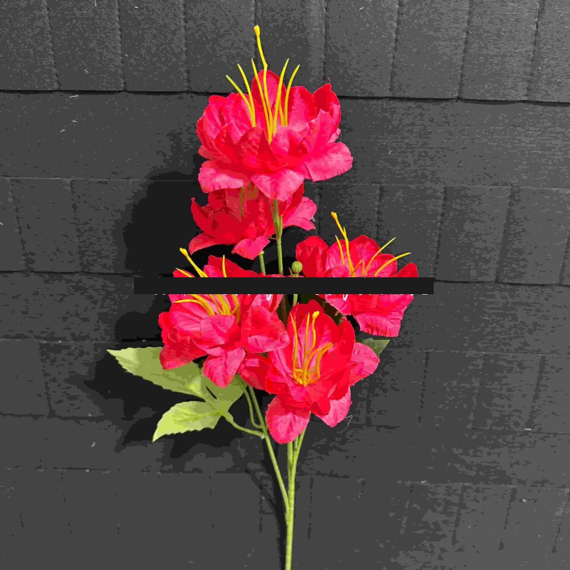 สีแดงกุหลาบ