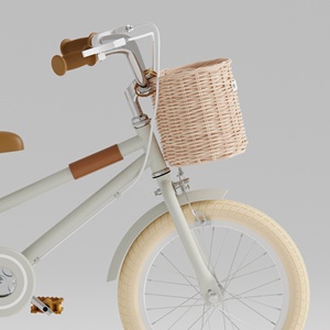 2024 Vélo pour enfants de 20 pouces avec roues auxiliaires Fourche en acier à vitesse unique Pédale ordinaire Gris pour petites filles de 7 à 15 ans - Product Image 3