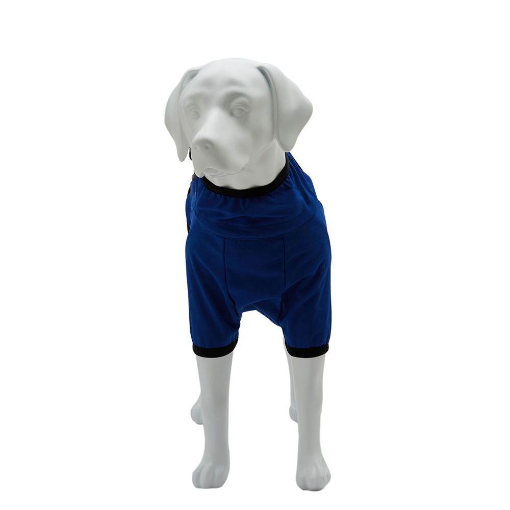 Manequim de cães decorativos, modelo de manequim para cachorros, exibição  de roupas de animais de estimação, LBLD-W| Alibaba.com, image size:1000x1000