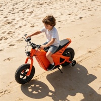 Moto électrique pour enfants avec pneus larges, roues d'apprentissage, phare, sûre pour l'extérieur, tout-terrain, moto de cross électrique, pit bike