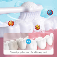 SADOER Dentifrice à la Menthe et à la Propolis 100g Propolis Naturel Menthe Rafraîchissante Protection des Gencives Haleine Fraîche Longue Durée Soin Bucco-dentaire Domestique