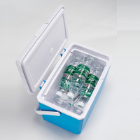 Glacière 9L en plastique glacière pour congélateur portable glacière pour la pêche en polystyrène avec logo cadeau petite glacière pour la pêche personnalisée