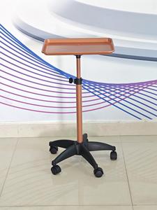 Carrito Móvil <span class=keywords><strong>de</strong></span> Aluminio Resistente para Salón y Taller con Diseño <span class=keywords><strong>de</strong></span> 5 Ruedas - Organizador Multiusos para Salones, Spas y Tiendas <span class=keywords><strong>de</strong></span> Tatuajes - Product Image 6