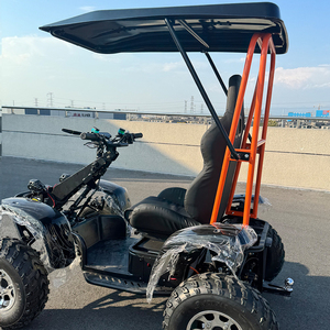 Scooter Eléctrico Todoterreno de 4 Ruedas con Batería Extraíble, Motor sin Escobillas de 6000W, Suspensión Completa para Adultos, Uso en Exteriores de Alta Resistencia - Product Image 1