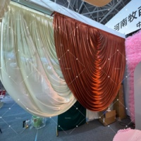 Offre Spéciale : Rideaux de baldaquin élégants en forme d'arche pour décorations de fête et de mariage