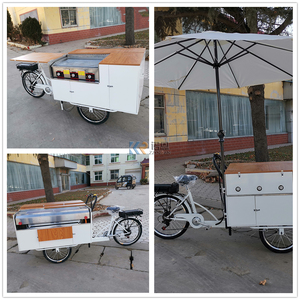 Bicicleta Eléctrica con Pedaleo Asistido 2024, Parrillas para Barbacoa, Carritos de Comida Rápida, Remolque de Comida, Barbacoa, Comida Callejera, Bicicleta para Venta de Aperitivos, Dulces y Papas Fritas - Product Image 6