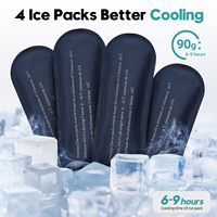 Étui de transport isotherme multi-poches pour insuline, refroidisseur de médicaments pour diabétiques avec 4 blocs réfrigérants portables et réutilisables