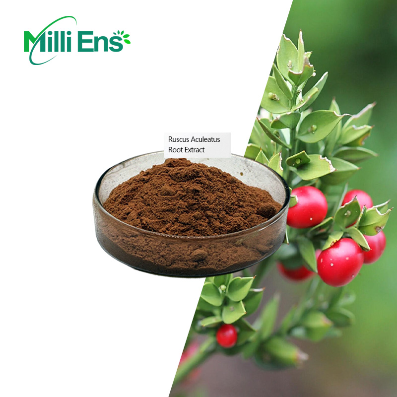 Чистый натуральный экстракт корня Ruscus Aculeatus/10:1 для мясной метлы по заводской цене