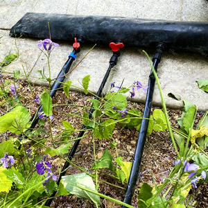 Nastro per Irrigazione a Goccia in Plastica da 16mm, Tubo Ecologico per Serre, Dimensioni Personalizzabili - Product Image 2