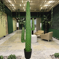 En Stock 143CM de hauteur en plastique herbe Cactus Design de luxe haute assurance Tropical artificiel PE Cactus pour paysage décoratif