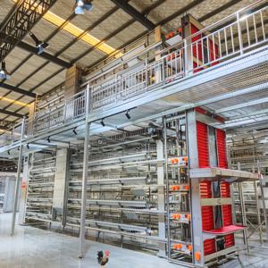 Sistema Automático <span class=keywords><strong>de</strong></span> Jaulas Tipo H para <span class=keywords><strong>Pollitos</strong></span> y Pollos en Crecimiento - Product Image 1