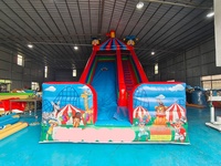 Grande glissade gonflable de clown sec d'amusement de temps libre de maison de PVC de partie de location commerciale Offre Spéciale extérieure de temps libre pour des enfants