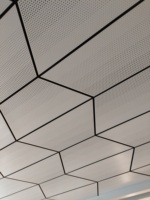 Plafonds de styles variés, options adaptables à différents contextes, avec possibilité de personnalisation.