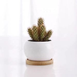 קישוט nordic פרח סיר קישוט להביא פרחים מלאכותיים פרחים קטנים קרמיים עציצים קרמיים - Product Image 4