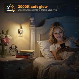 Luci Notturne LOHAS con Presa a Muro, Dimmerabili 0-100 LM, Lampada LED a Fiore in Vetro 1W, Luce Notturna Vintage per Bagno e Corridoio - Product Image 2