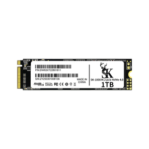 SK-1000 Internal M.2 NVMe SSD Laptop Universal Kecepatan Tinggi 5000MB/s Baca/Tulis Cetakan Pribadi - Product Image 1