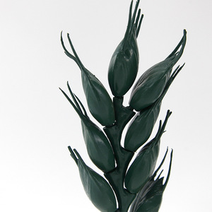 Modèle de fleur de blé Qinghua, modèle anatomique magnifié de l'épi de blé pour les cours de biologie au collège et au lycée, fleur de blé - Product Image 2
