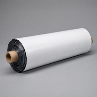 Film de paillage en polypropylène noir et blanc, épaisseur 0,02 mm-0,05 mm, rouleau de 500-2000 m, taille personnalisée, bâche plastique agricole pour culture