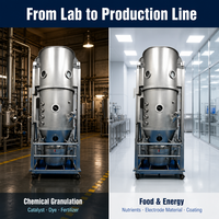 Machine de granulation et de séchage à lit fluidisé par évaporation pour produits chimiques, alimentaires, engrais, pigments, granulés – Ingénierie OEM ODM