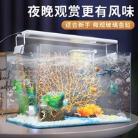 Aquarium écologique en verre HD thermoformé, petit et moyen, pour salon - Vente en gros