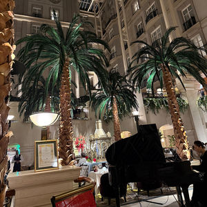 Palmera Artificial Grande de 2.5-10m, Tronco de Fibra de Vidrio Resistente a los Rayos UV, Palmeras Artificiales para Decoración de Parques Temáticos/Hoteles - Product Image 1