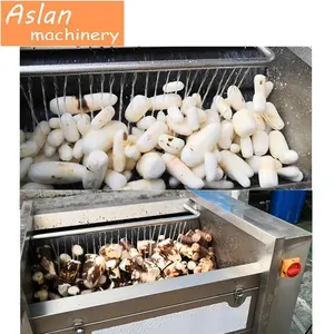 Máquina Industrial para Lavar y pelar zanahorias, jengibre, batata, mandioca, precio de fábrica