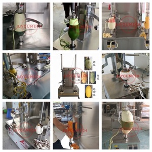 Jujou <span class=keywords><strong>เค</strong></span><span class=keywords><strong>ร</strong></span>ื่อง<span class=keywords><strong>ป</strong></span>อกผลไม้อัตโนมัติสำห<span class=keywords><strong>ร</strong></span>ับกา<span class=keywords><strong>ร</strong></span>ค้า<span class=keywords><strong>เค</strong></span><span class=keywords><strong>ร</strong></span>ื่อง<span class=keywords><strong>ป</strong></span>อกผลไม้แตงโมสับปะ<span class=keywords><strong>ร</strong></span>ดฟักทองมะพ<span class=keywords><strong>ร</strong></span>้าว - Product Image 2