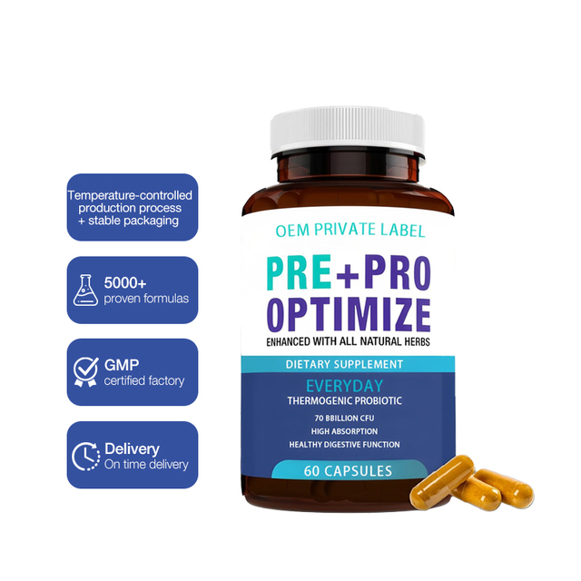 Oem Odm Private Label Probiotic Capsules Metabolism Support Digestive Supplements for Adults Vegan 60 Count