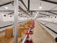 Hontech-Wins Interrupteur intelligent à intensité variable LED étanche pour fermes avicoles, simulateur d'aube et de coucher de soleil, 3000W, manuel DMX