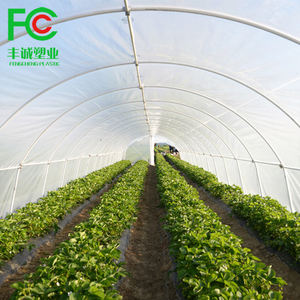 スーパーサームポリテン付き強化温室プラスチックシート200ミクロンチェリーカバーやその他の作物保護に最適 - Product Image 6