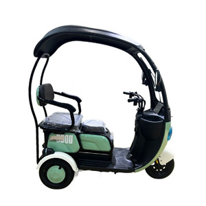 Tricycle électrique familial à toit arqué personnalisé pour le transport de passagers - Product Image 2