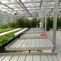 Système hydroponique intelligent pour serre avec irrigation automatique, table mobile roulante à flux et reflux pour semis, agriculture intelligente