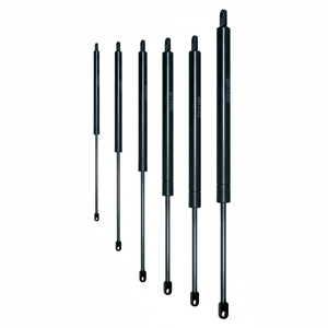 C 400 Course F 700 N CYLINDRE OLÉOPNEUMATIQUE (VO40/070) - Product Image 1