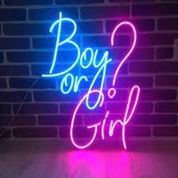 Meilleures ventes, nouveauté, révélation de sexe, fournitures de fête personnalisées au néon, panneaux muraux décoratifs en acrylique, néons à LED, enseignes personnalisées