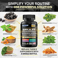 Vente en gros, prix d'usine, complément alimentaire à base de shilajit pur de l'Himalaya, stimulant énergétique, capsules de shilajit, produits