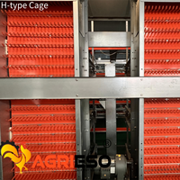 Système de cages à poulets en batterie Agrieso avec collecte manuelle des œufs et du fumier pour l'élevage avicole