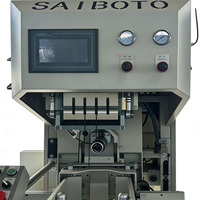 Machine d'emballage automatique pour valves à embout avec éjection fluide des sacs et caractéristiques de sécurité conformes CE pour le flux