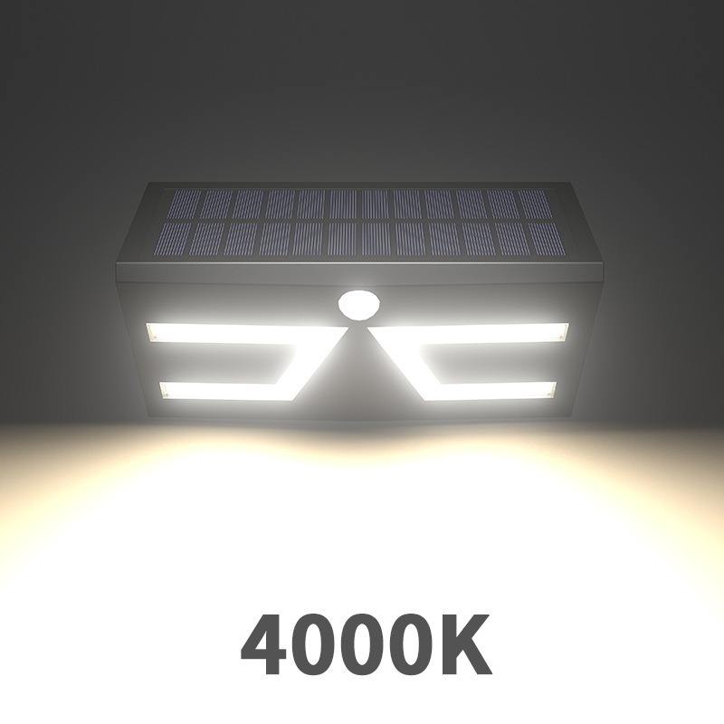 Coquille noire naturellement blanche