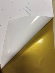 Film de protection pour caissons lumineux, <span class=keywords><strong>vinyle</strong></span> translucide durable pour l'extérieur, pour caissons lumineux LED, lettres en relief et écrans rétroéclairés, alternative au 3M - Product Image 3