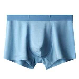 Sous-vêtements pour hommes, caleçons en soie glacée, transparents, caleçons transparents - Product Image 1
