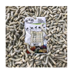 Alimento Ecológico para Mascotas SilkWorm, Proteína de Insectos, <span class=keywords><strong>Gusano</strong></span> de Seda Fresco Preservado - Product Image 1