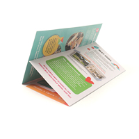 Contenu personnalisable Brochure pliée A4 A5 A6 Flyer Promotion Brochure imprimable Brochure à trois volets Introduction Manuel Catalogue
