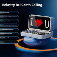 Tarjeta de sonido inteligente en vivo con pantalla Altavoz Bluetooth conectado a la computadora Karaoke en casa Regalo Altavoz Bluetooth